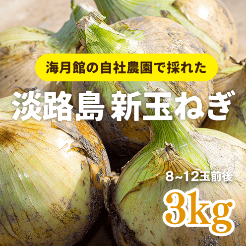 【数量・期間限定】【送料込み】 海月館 自社農場栽培！淡路島 新玉ねぎ 【サイズお任せ 3kg】