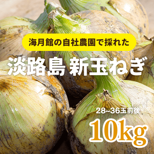 【数量・期間限定】【送料込み】 海月館 自社農場栽培！淡路島 新玉ねぎ【サイズお任せ 10kg】