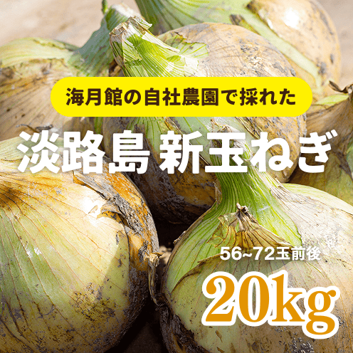 【数量・期間限定】【送料込み】 海月館 自社農場栽培！淡路島 新玉ねぎ【サイズお任せ 20kg】