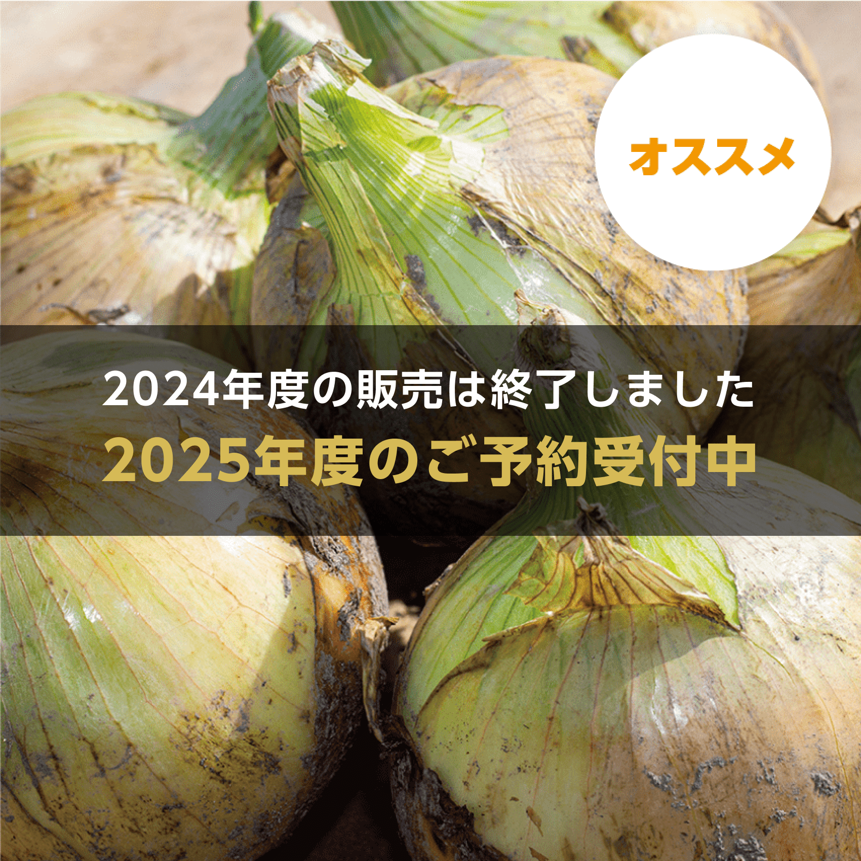 【数量・期間限定】【送料無料】 海月館 自社農場栽培！淡路島産 新玉ねぎ 4.5kg