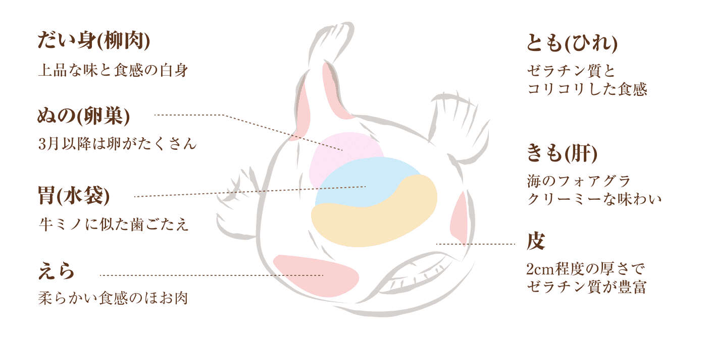 1.だい身(柳肉) - 上品な味と食感の白身 2.ぬの(卵巣) - 3月以降は卵がたくさん 3.胃(水袋) - 牛ミノに似た歯ごたえ 4.えら - 柔らかい食感のほお肉 5.とも(ひれ) - ゼラチン質とコリコリした食感 6.きも(肝) - 海のフォアグラクリーミーな味わい 7.皮 - 2cm程度の厚さでゼラチン質が豊富