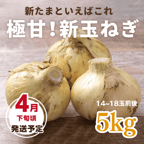 【数量・期間限定】【送料込み】海月館 自社農園栽培！淡路島産 極甘！早生玉ねぎ 【サイズお任せ 5kg】