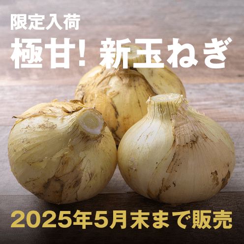 淡路島産 極甘！新玉ねぎ【うずしお新玉ねぎ サイズお任せ 3kg】