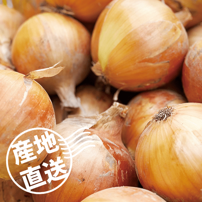 【送料込み】海月館 自社農園栽培！淡路島産 熟成玉ねぎ 【サイズお任せ 20kg】（新玉ねぎクーポン使えます）