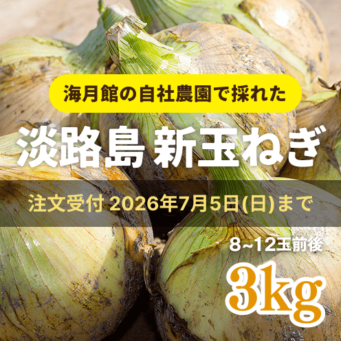 【数量・期間限定】【送料込み】
海月館 自社農場栽培!淡路島 新玉ねぎ 【サイズお任せ 3kg】