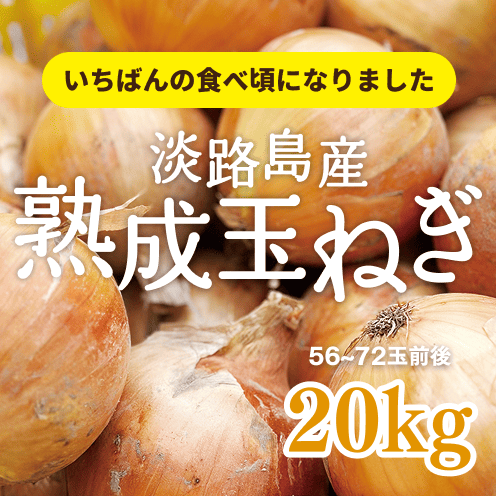 【送料込み】海月館 自社農園栽培！淡路島産 熟成玉ねぎ 【サイズお任せ 20kg】