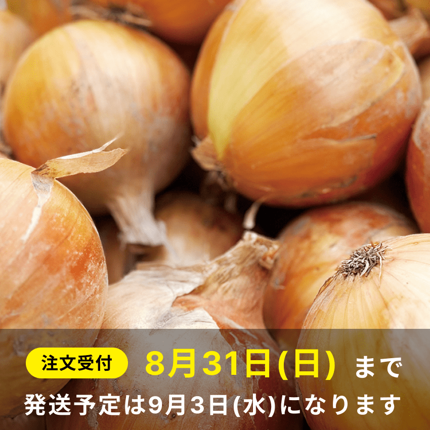 【送料込み】海月館 自社農園栽培！淡路島産 熟成玉ねぎ 【サイズお任せ 5kg】（新玉ねぎクーポン使えます）