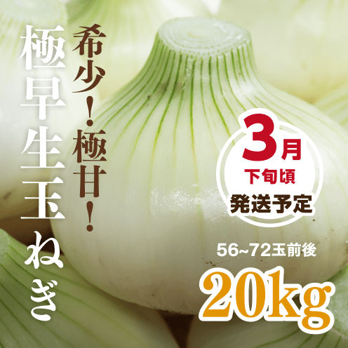 【数量・期間限定】【送料込み】海月館 自社農園栽培！淡路島産 極早生(ごくわせ)玉ねぎ 【サイズお任せ 20kg】