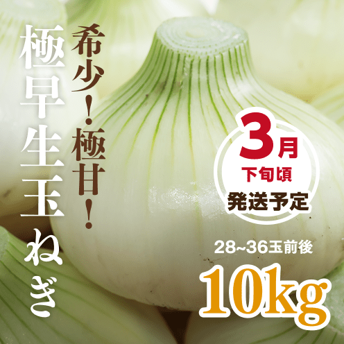 【数量・期間限定】【送料込み】海月館 自社農園栽培！淡路島産 極早生(ごくわせ)玉ねぎ 【サイズお任せ 10kg】