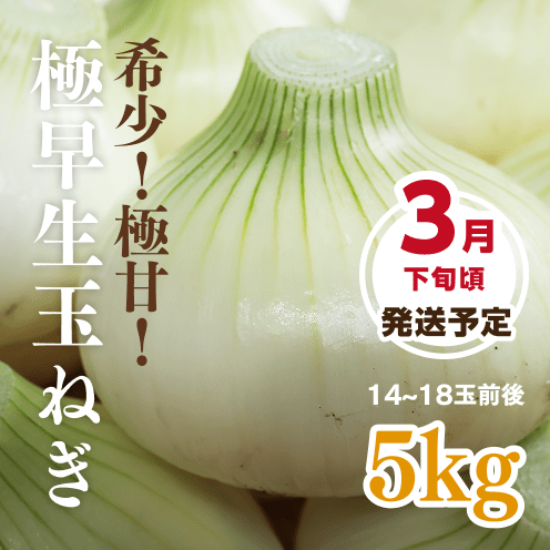 【数量・期間限定】【送料込み】海月館 自社農園栽培！淡路島産 極早生(ごくわせ)玉ねぎ 【サイズお任せ 5kg】