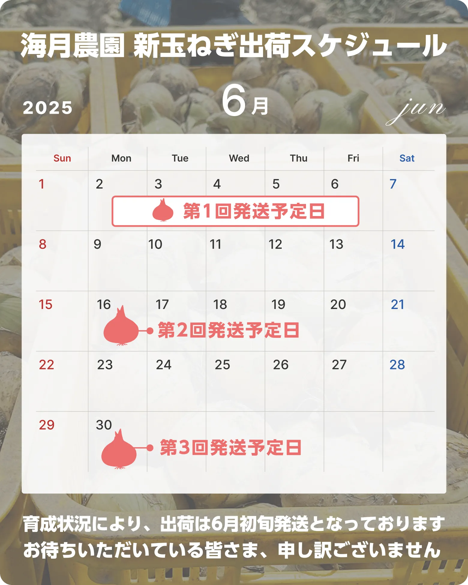 2025年6月配送スケジュール