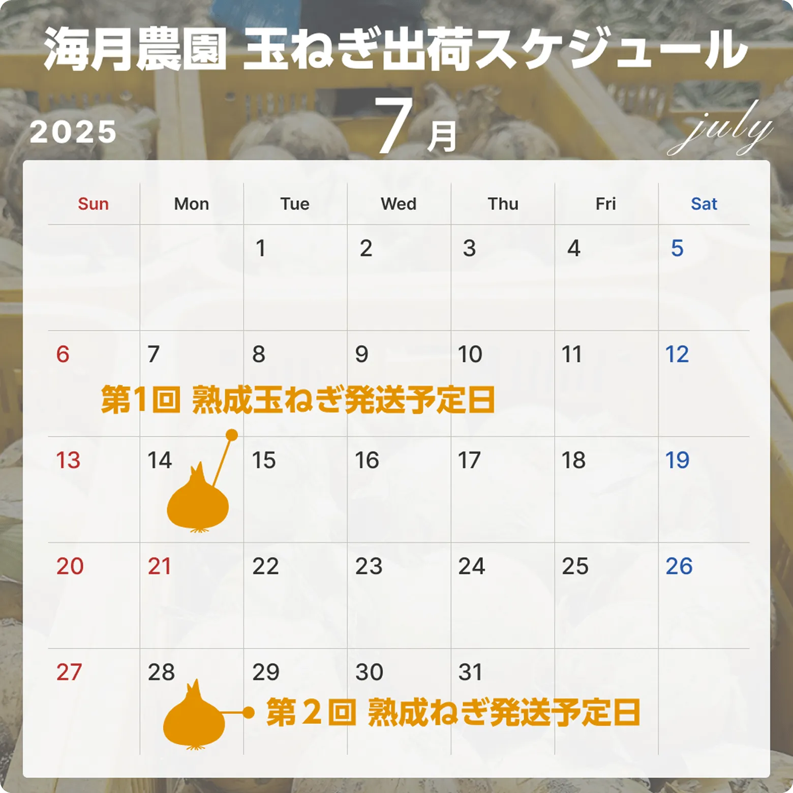 2025年7月配送スケジュール