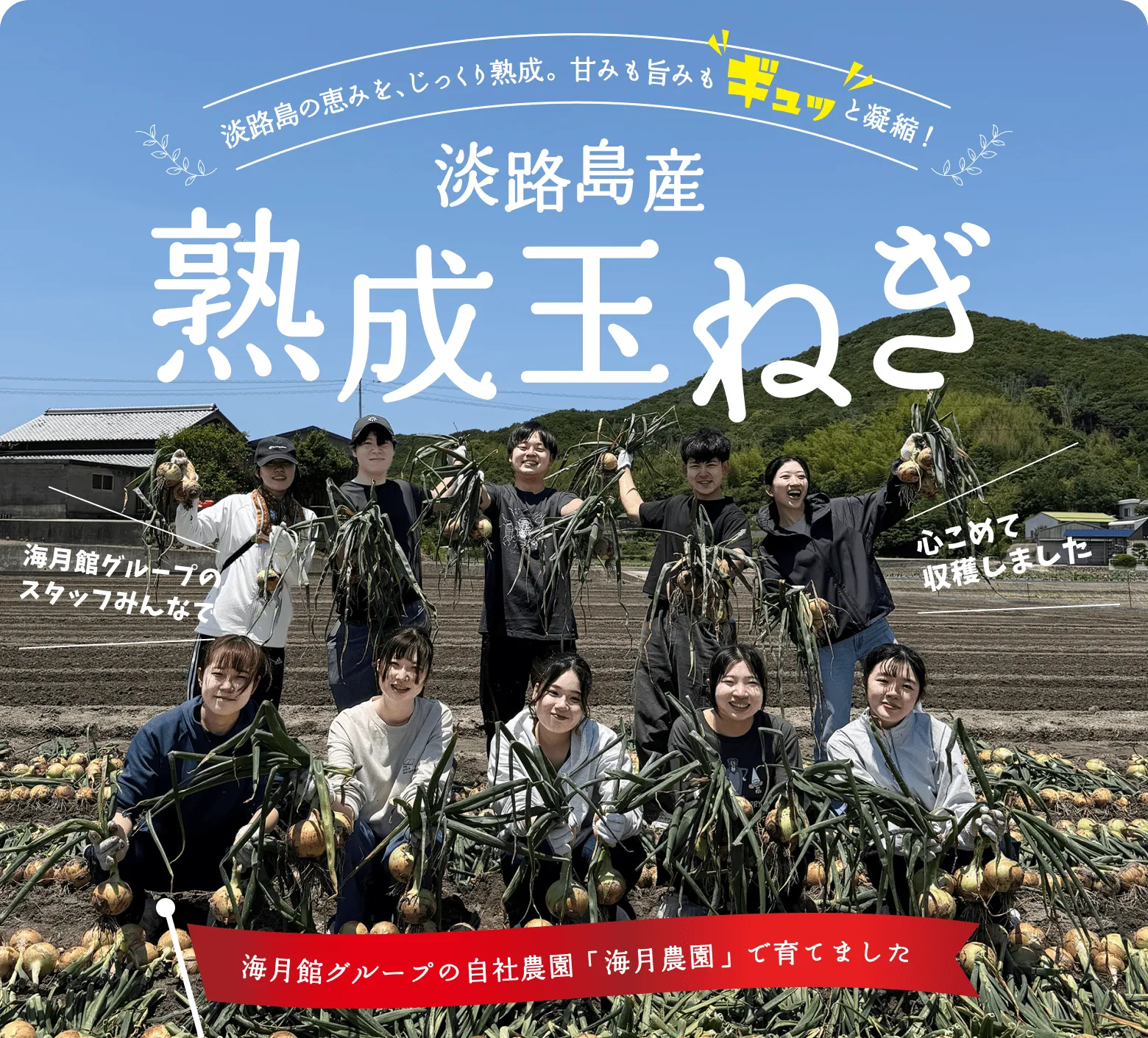 淡路島の恵みを、じっくり熟成。甘みも旨みもギュッと凝縮！淡路島産熟成玉ねぎ｜海月館グループの自社農園「海月農園」で育てました