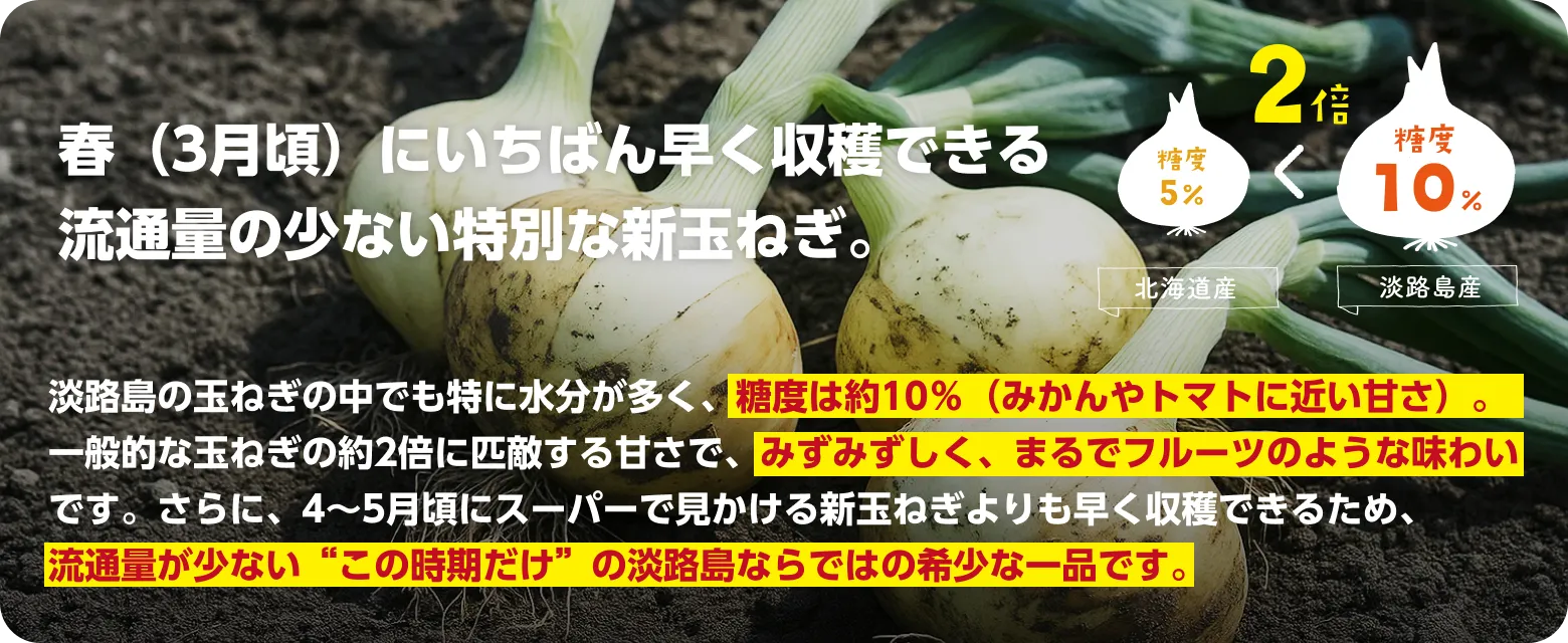 春（3月頃）にいちばん早く収穫できる流通量の少ない特別な新玉ねぎです。淡路島の玉ねぎの中でも特に水分が多く、糖度は約10％（みかんやトマトに近い甘さ）。一般的な玉ねぎの約2倍に匹敵する甘さで、みずみずしく、まるでフルーツのような味わいです。さらに、4〜5月頃にスーパーで見かける新玉ねぎよりも早く収穫できるため、流通量が少ない“この時期だけ”の淡路島ならではの希少な一品です。