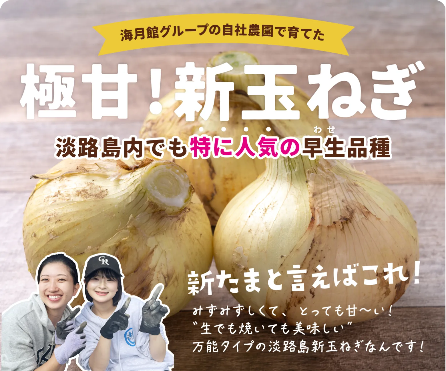 海月館の自社農園で育てた「極甘！早生（わせ）新玉ねぎ」淡路島内でも       特に人気の品種です！新たまと言えばこれ！
