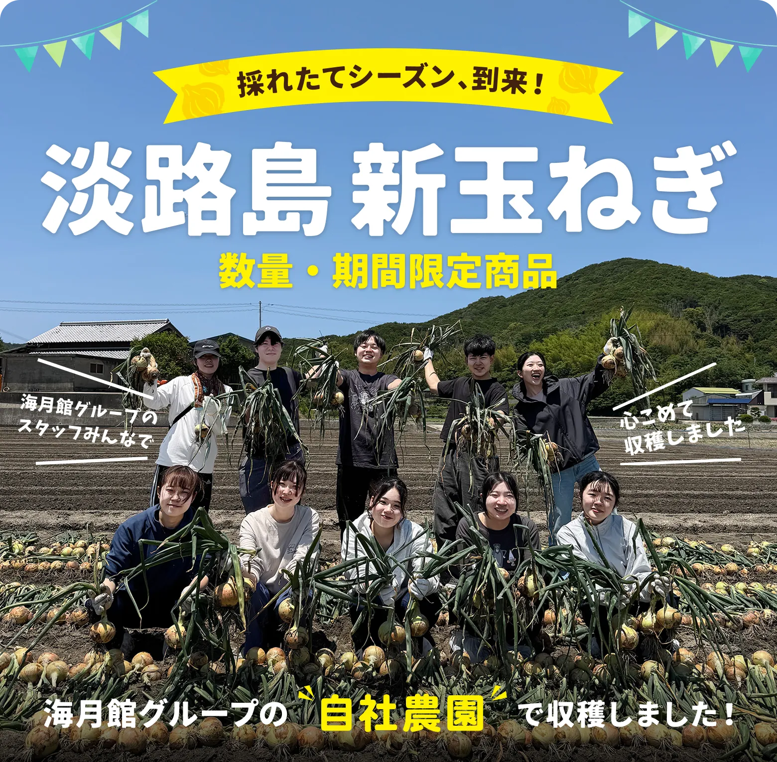 海月館の自社農園で育てました！淡路島産 新たまねぎ｜数量・期間 限定商品