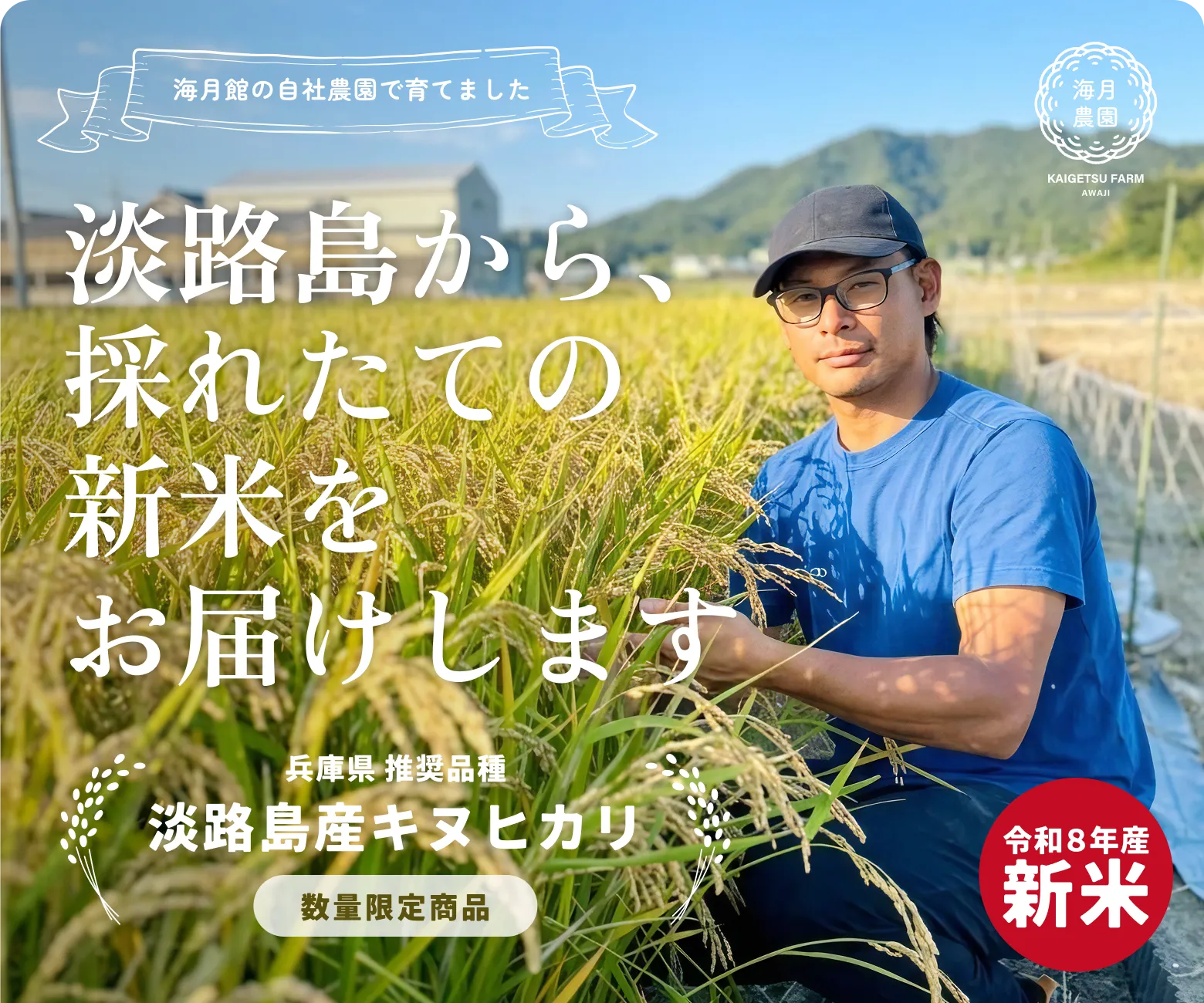 【海月館の自社農園で育てました】淡路島から、採れたての新米をお届けします｜数量・期間限定 淡路島産キヌヒカリ