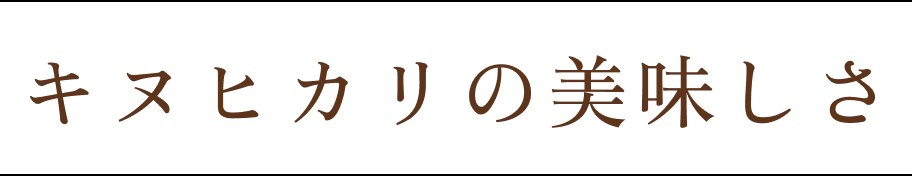 キヌヒカリの美味しさ